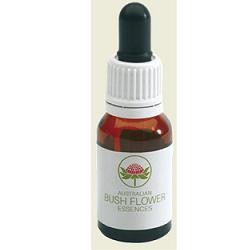 Bush Biotherapies Pty Mint Bush 15ml Gocce