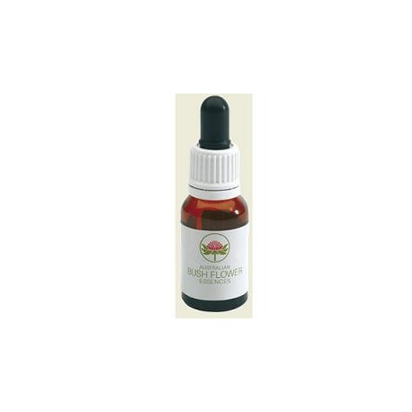 Bush Biotherapies Pty Mint Bush 15ml Gocce