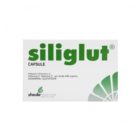 Shedir Pharma Unipersonale Siliglut 20 Capsule