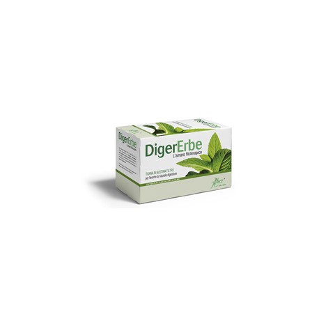 DIGERERBE 20 FILTRI TISANA 40 G