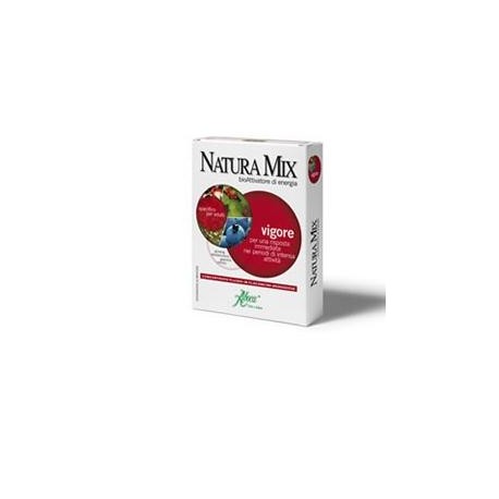 NATURA MIX VIGORE CONCENTRATO FLUIDO 10 FLACONCINI MONODOSE IN VETRO DA 15 GRAMMI