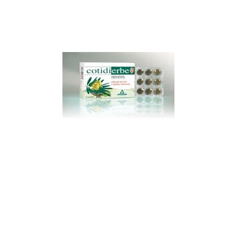 COTIDIERBE 45 COMPRESSE 400 MG NUOVA FORMULA